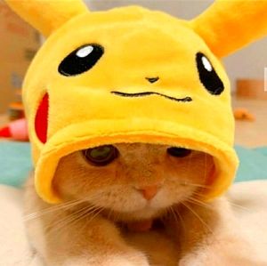 ❀✿＊*HI!&WELCOME to MY Closet❀✿＊